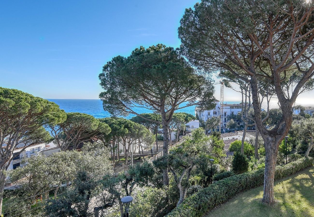 Apartment in Calella de Palafrugell - 42 - Vall