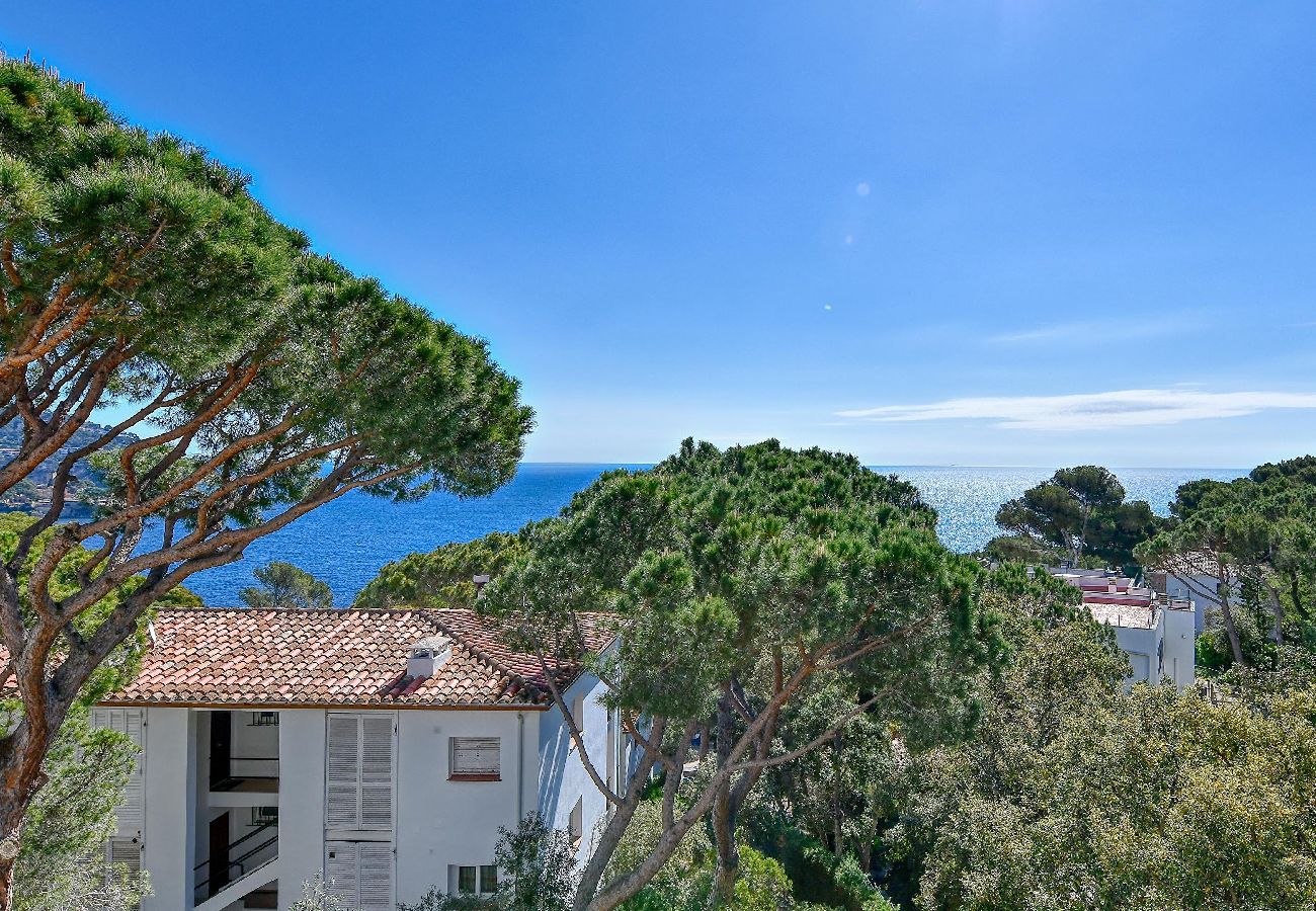 Apartment in Calella de Palafrugell - 56 - C-5