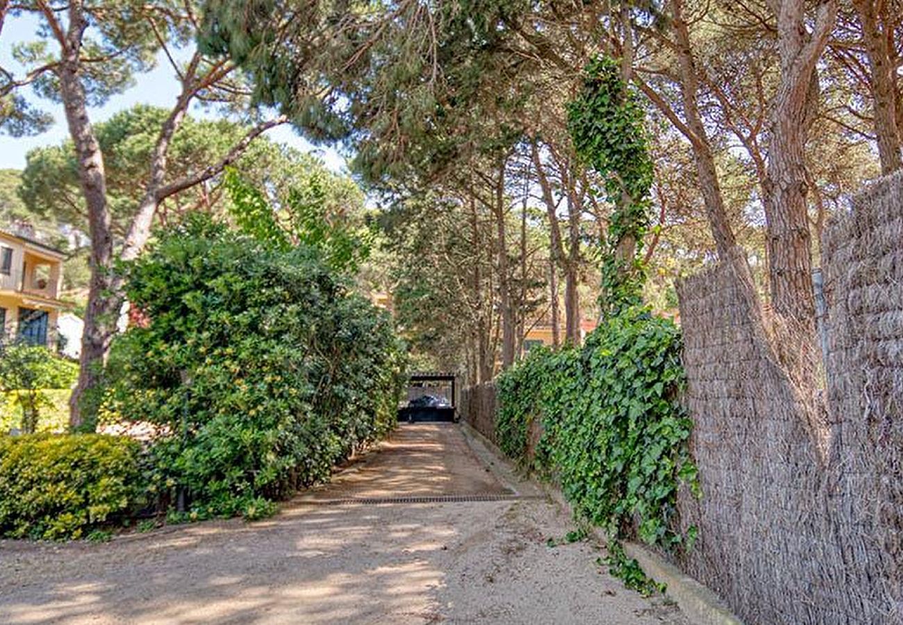 Apartment in Tamariu - 415 - Bagatelle5