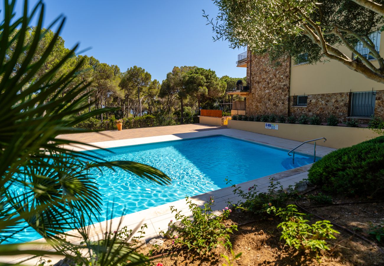 Apartamento en Calella de Palafrugell - 97 - Mar 1r 2a