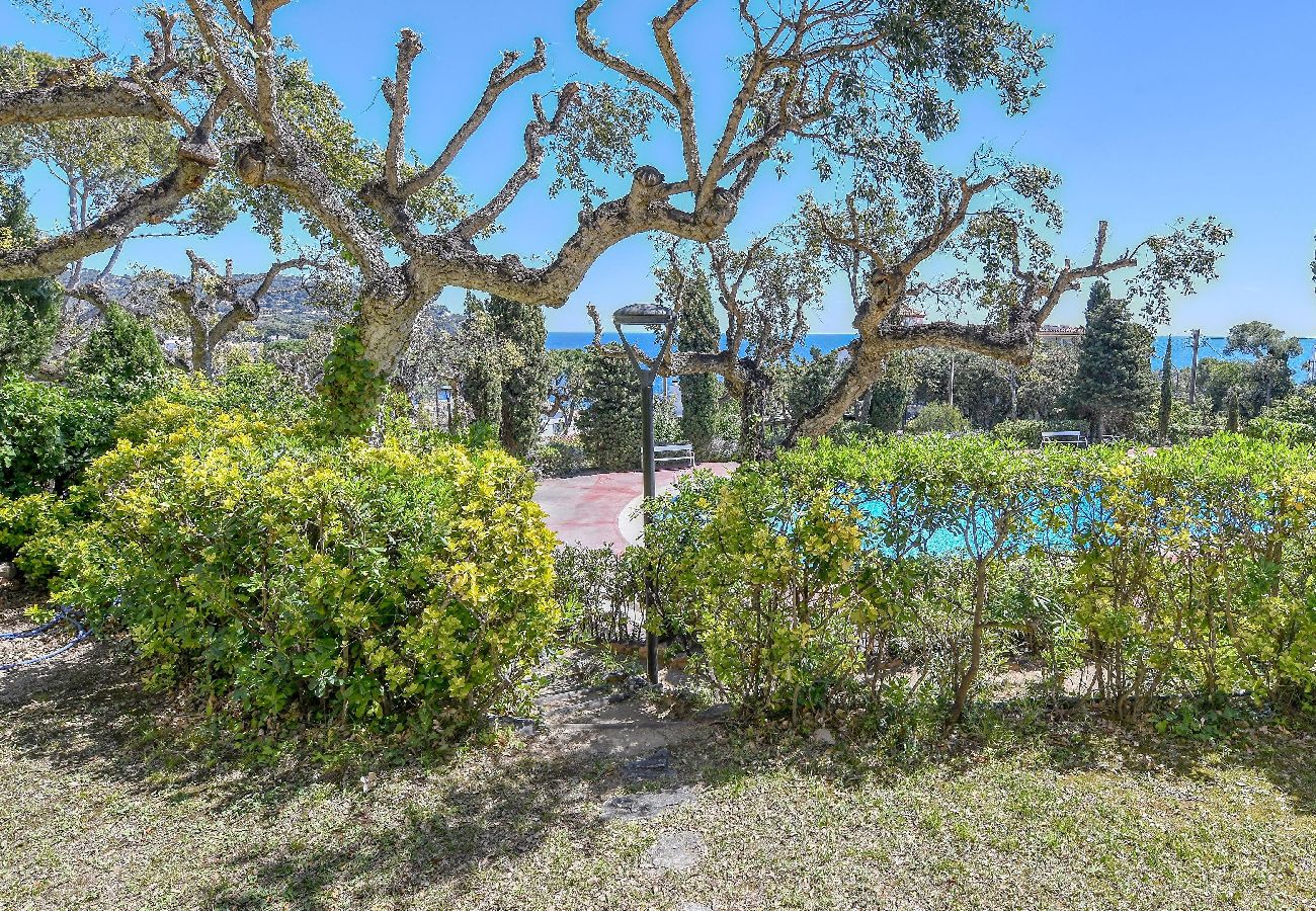 Apartament en Calella de Palafrugell - 42 - Castella 2