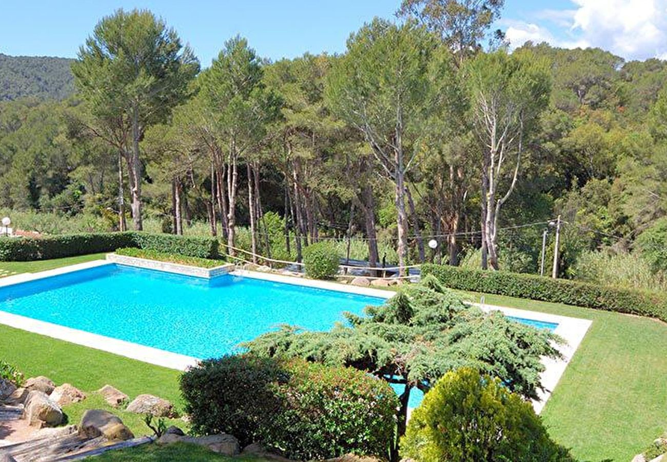 Apartament en Tamariu - 410 - 3 3 1